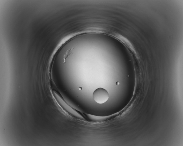 X0000086781192200704201818