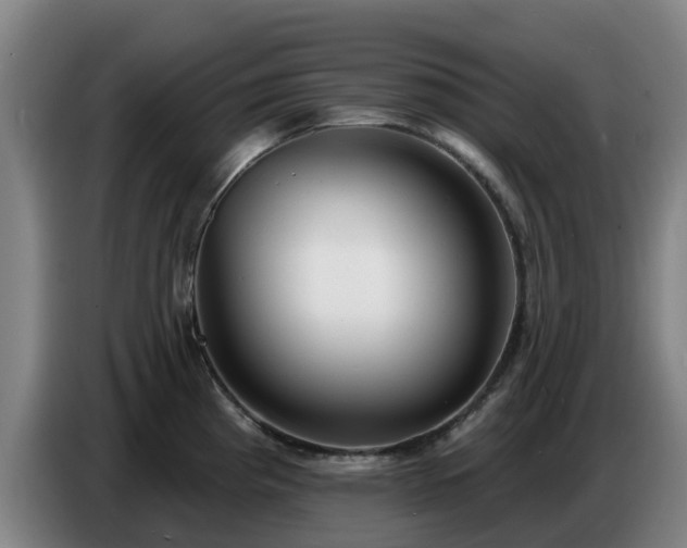 X0000086781193200704201818