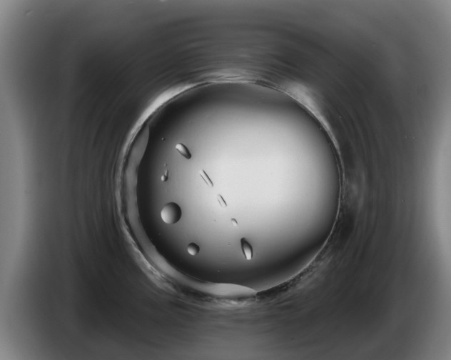 X0000086781195200704201818