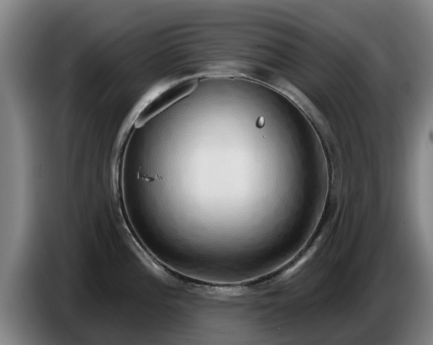 X0000086781196200704201818