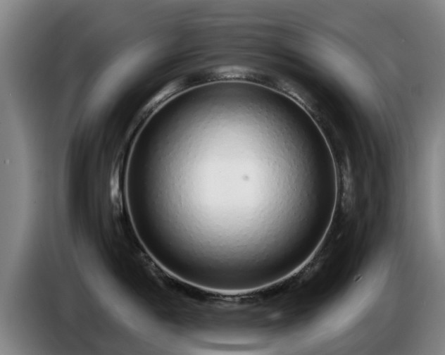 X0000086781198200704201818