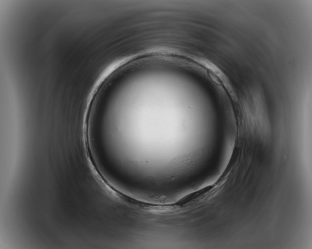 X0000086781199200704201818