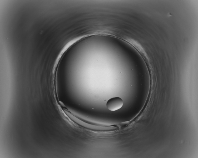 X0000086781200200704201818