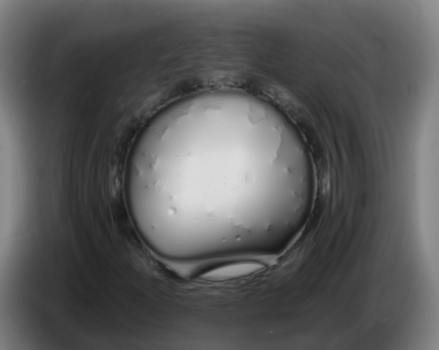 X0000086781204200704201817