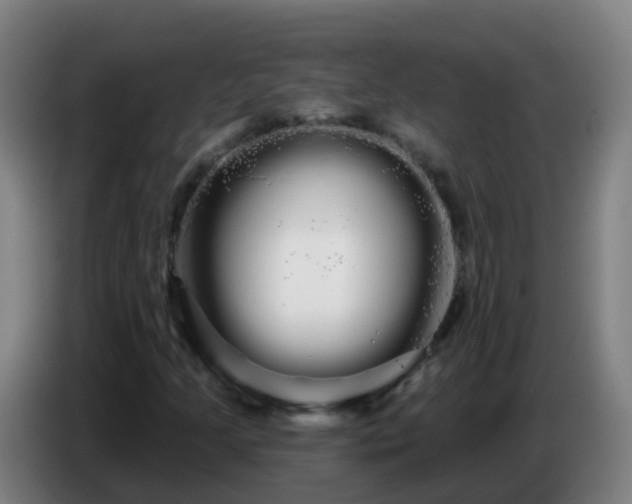 X0000086781205200704201817