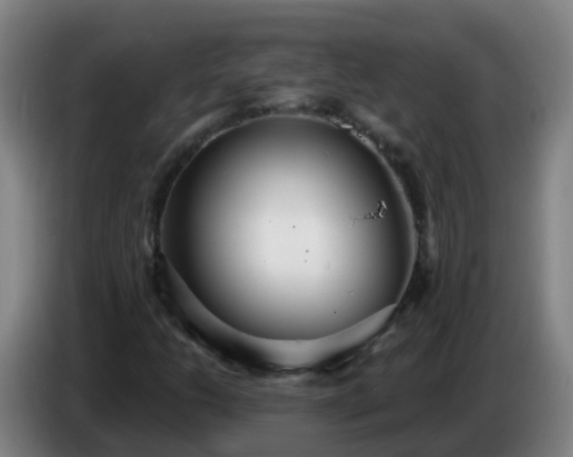 X0000086781206200704201817