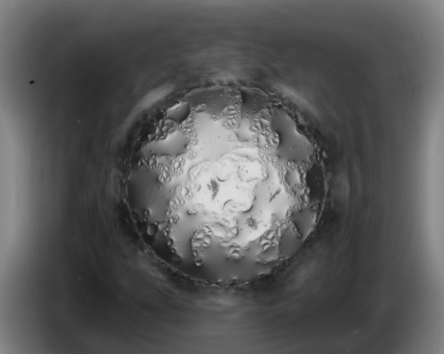 X0000086781207200704201817