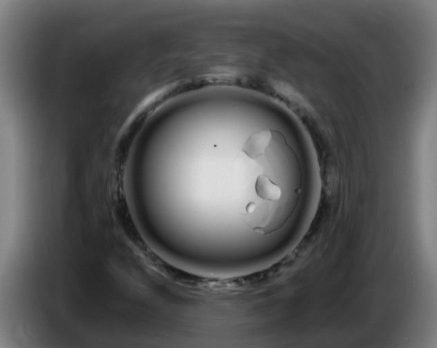 X0000086781208200704201817