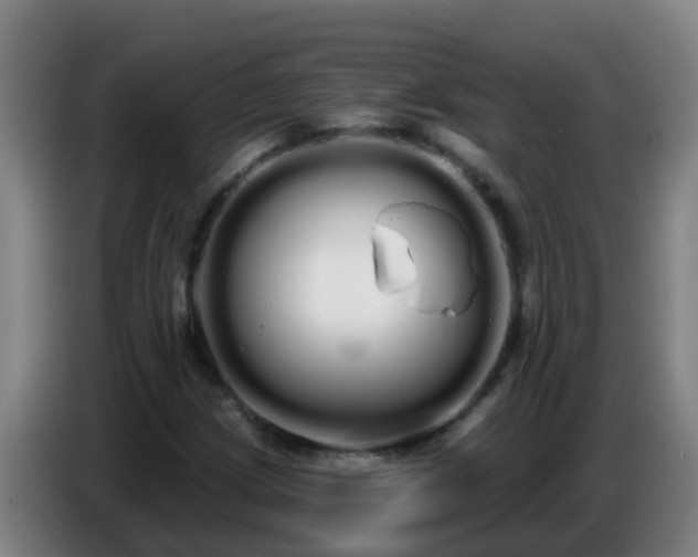 X0000086781209200704201817