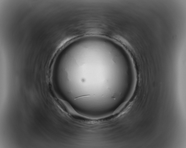 X0000086781212200704201817