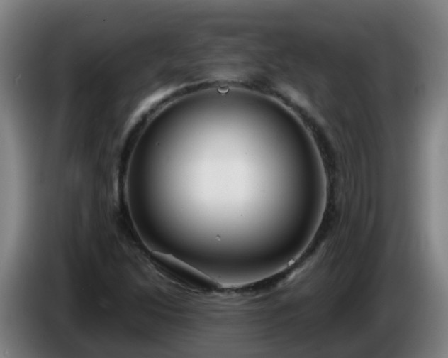 X0000086781214200704201817