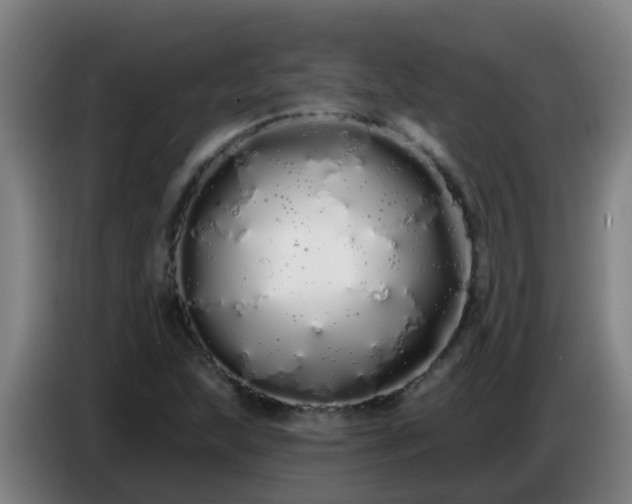 X0000086781215200704201817