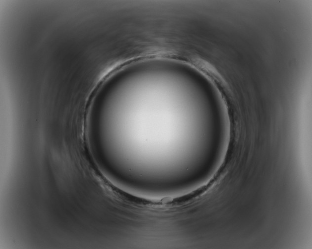 X0000086781220200704201817