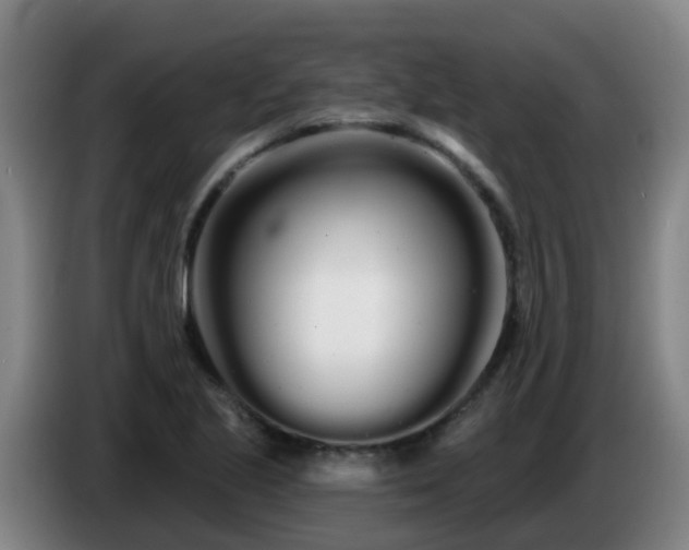 X0000086781221200704201817