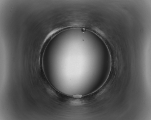 X0000086781222200704201818