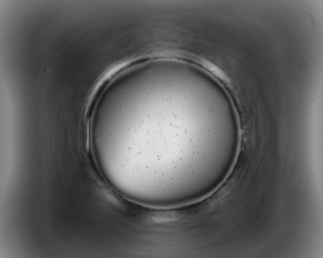 X0000086781223200704201818