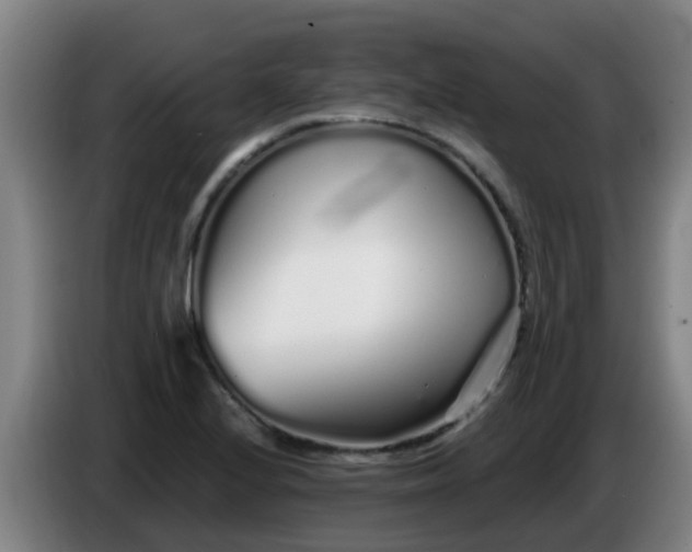 X0000086781224200704201818