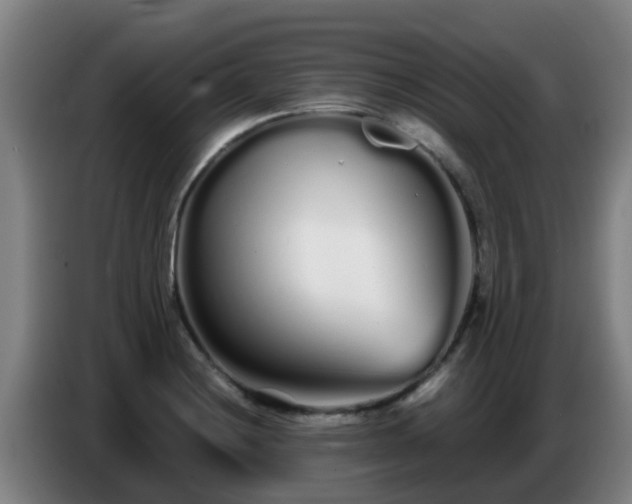 X0000086781228200704201818