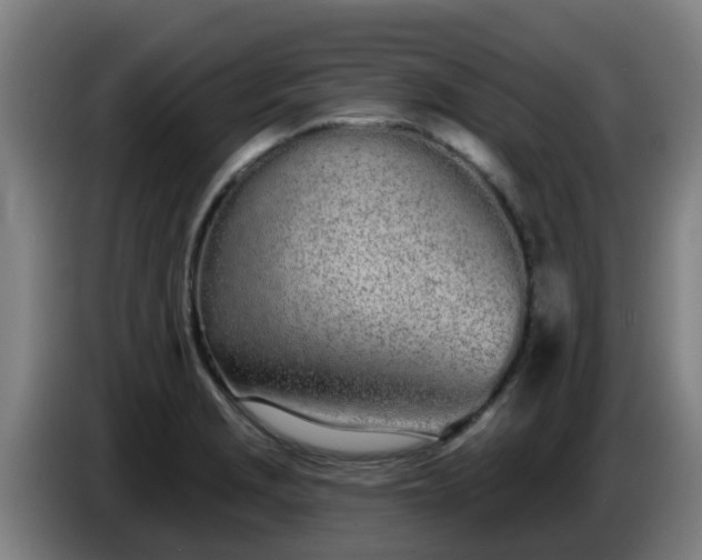 X0000086781229200704201818