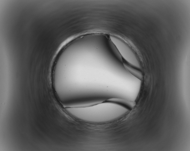 X0000086781230200704201818