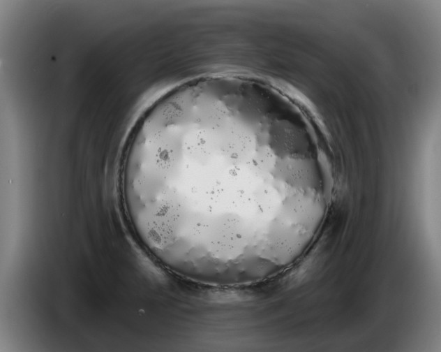 X0000086781231200704201818