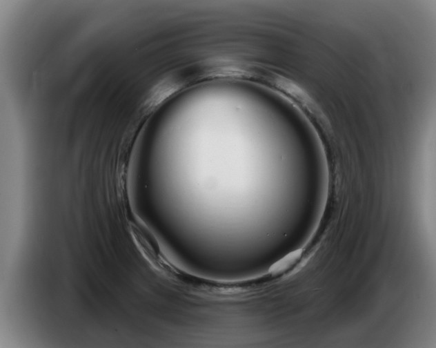 X0000086781233200704201818