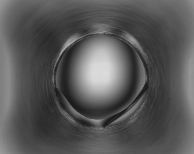 X0000086781234200704201818