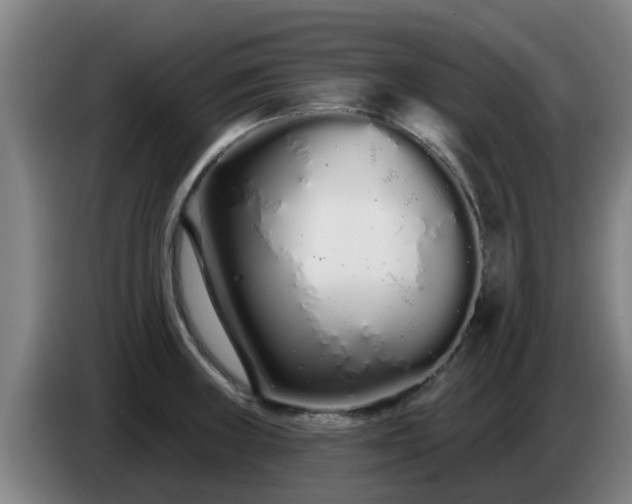 X0000086781235200704201818