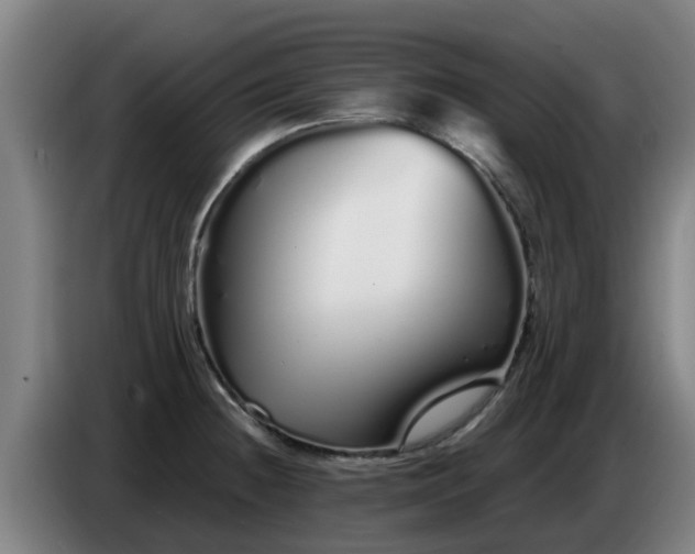 X0000086781236200704201818