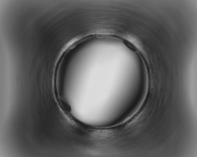 X0000086781237200704201818