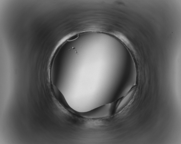 X0000086781238200704201818