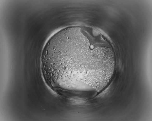 X0000086781239200704201818