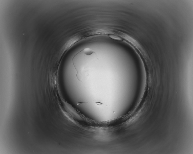 X0000086781241200704201818