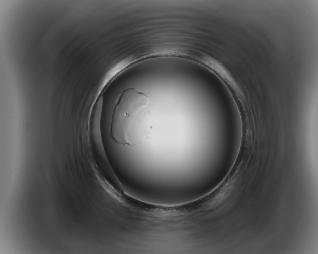 X0000086781242200704201818