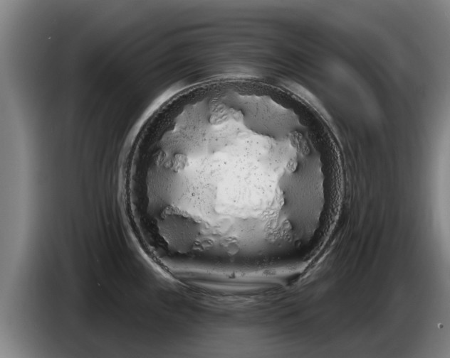 X0000086781243200704201818