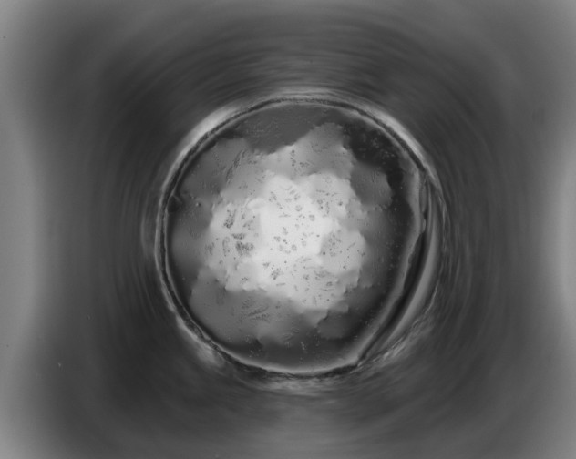 X0000086781245200704201818