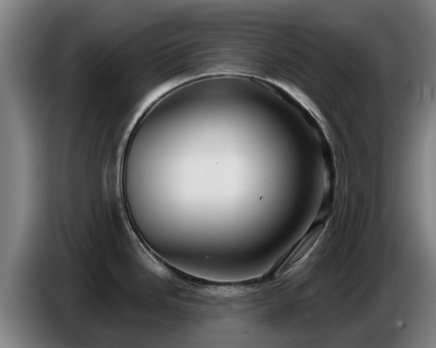 X0000086781246200704201818