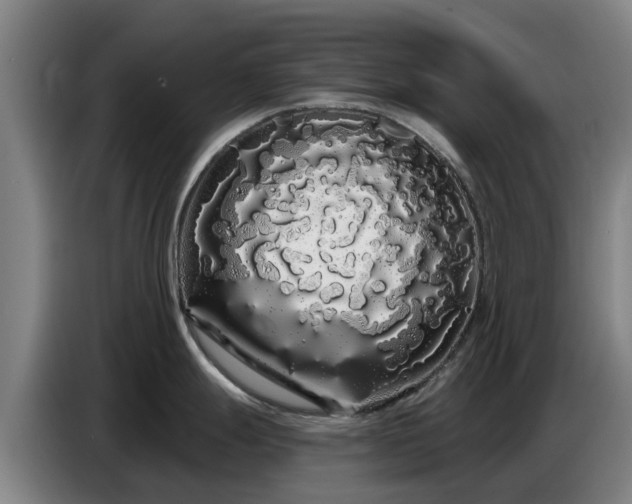 X0000086781247200704201818