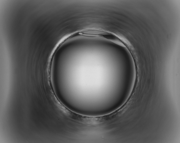 X0000086781248200704201818