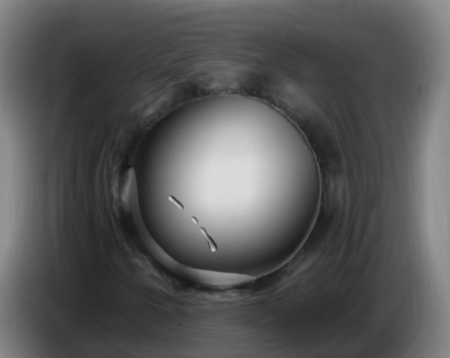 X0000086781250200704201817