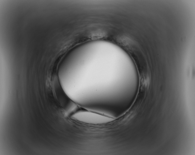 X0000086781252200704201817