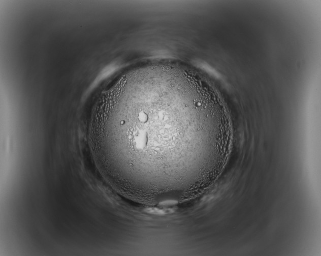 X0000086781255200704201817