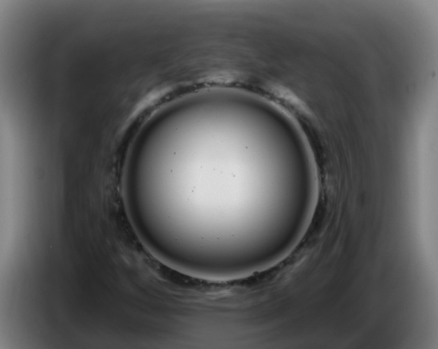 X0000086781256200704201817