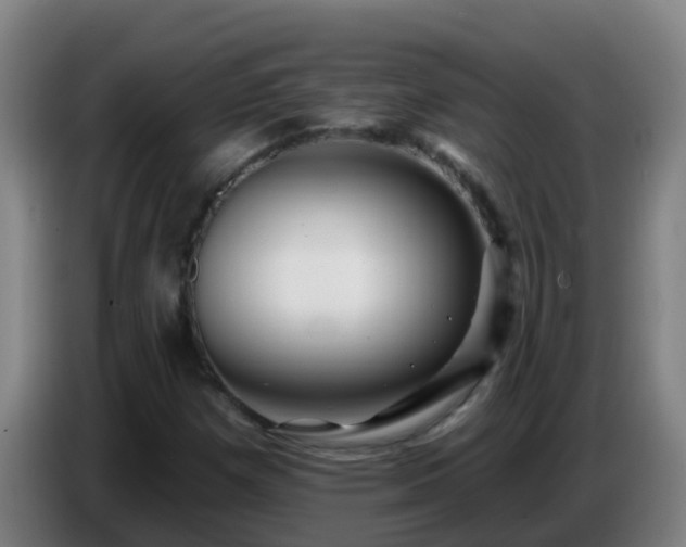 X0000086781257200704201817