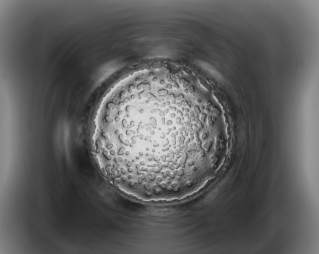 X0000086781258200704201817