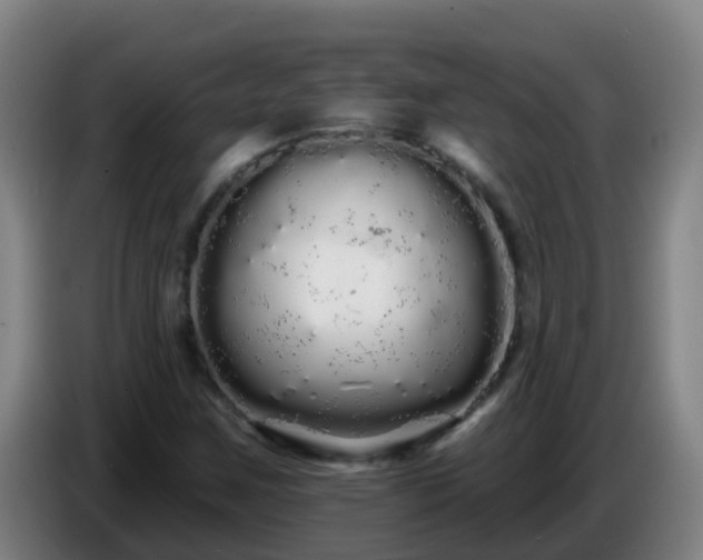 X0000086781259200704201817