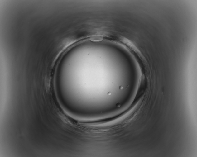 X0000086781260200704201817