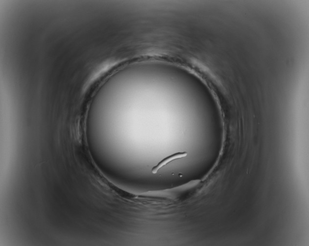 X0000086781262200704201817