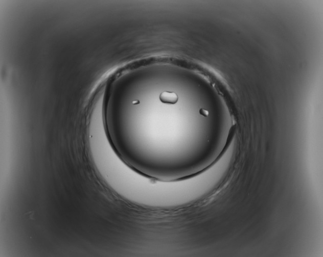 X0000086781263200704201817