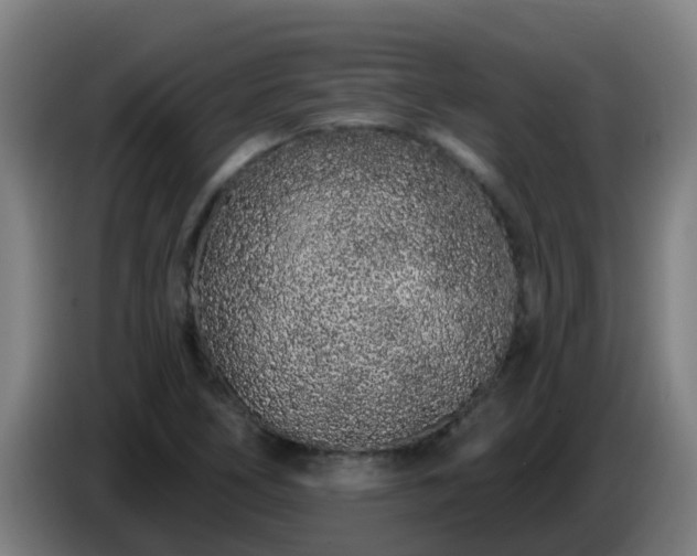 X0000086781266200704201817